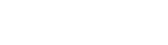 MAVS Engineering